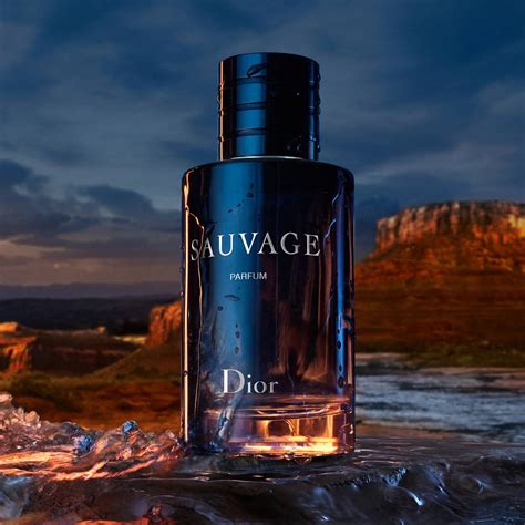 sauvage eau de parfum spray de la dior|fragrance direct Dior Sauvage.